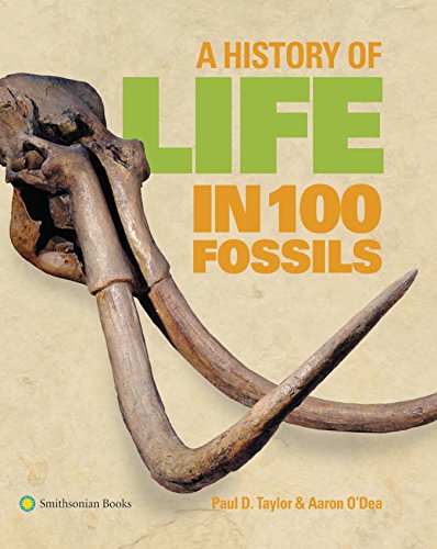 Algopix Similar Product 11 - A History of Life in 100 Fossils