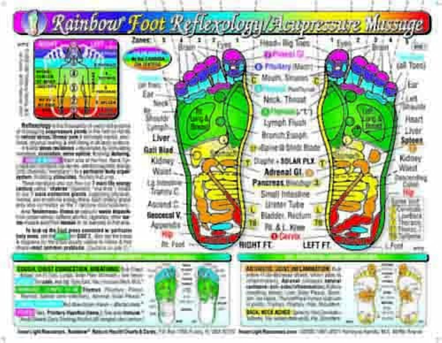 Algopix Similar Product 5 - Rainbow FOOT Reflexology Acupressure