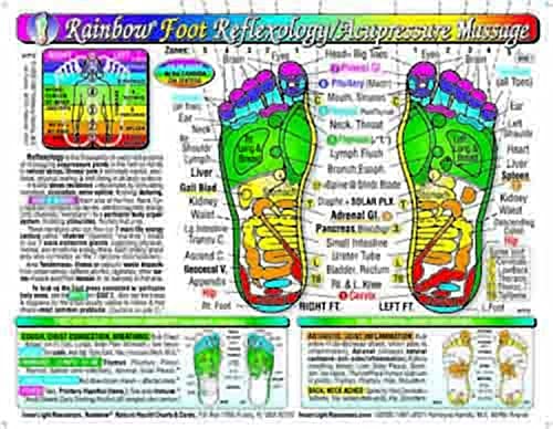 Algopix Similar Product 20 - Rainbow FOOT Reflexology Acupressure