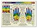 Algopix Similar Product 5 - Rainbow HAND Reflexology Acupressure