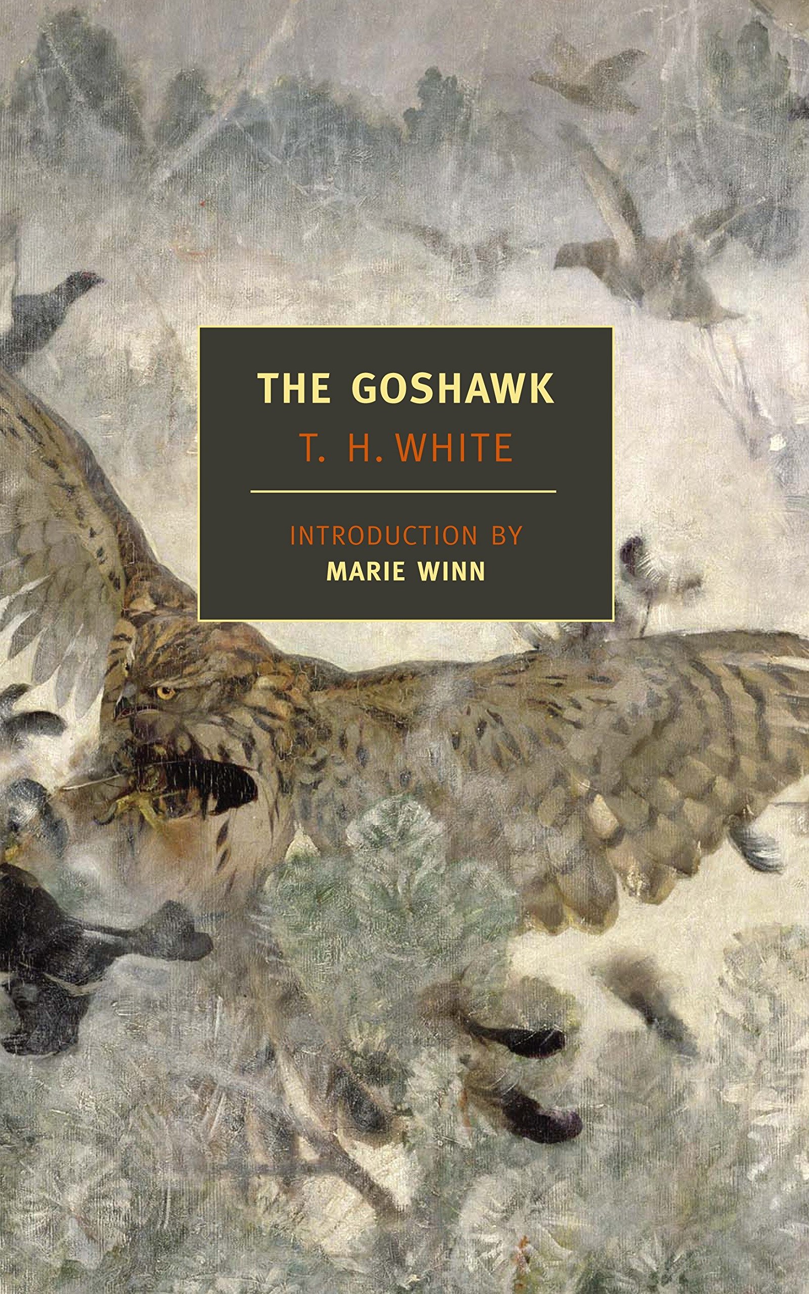 Algopix Similar Product 13 - The Goshawk New York Review Books