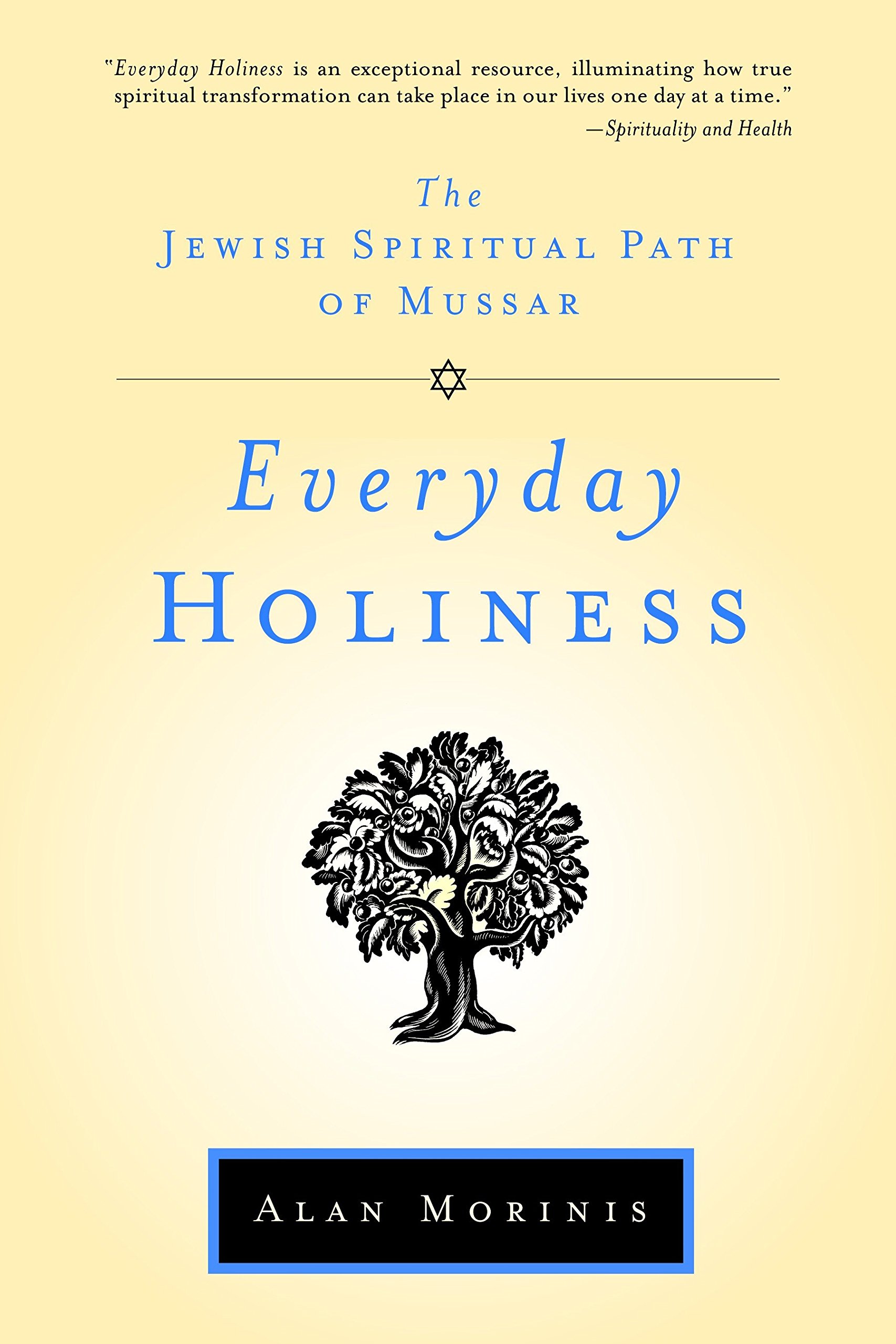 Algopix Similar Product 9 - Everyday Holiness The Jewish Spiritual