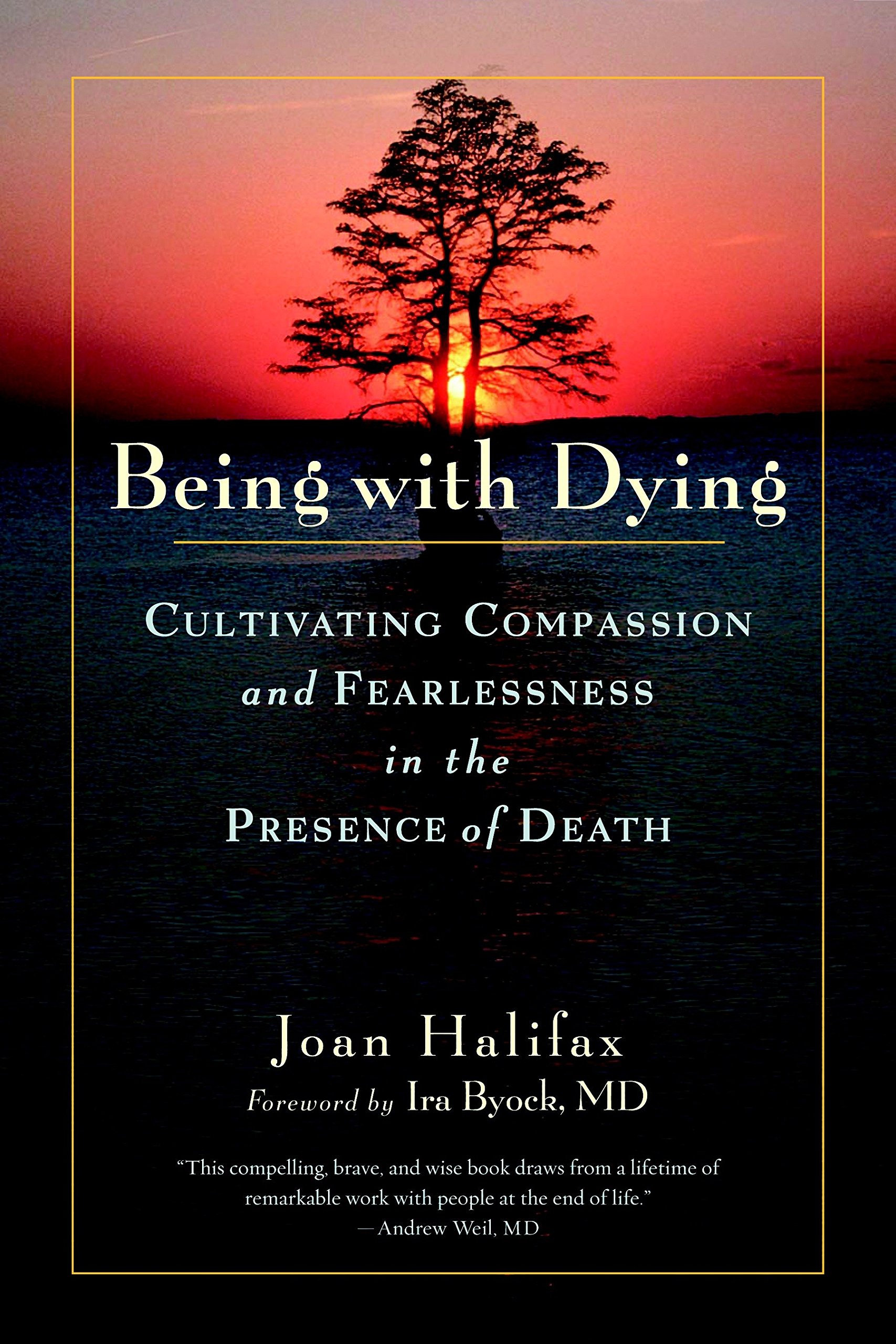 Algopix Similar Product 9 - Being with Dying Cultivating