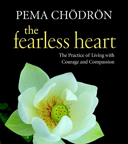 Algopix Similar Product 6 - The Fearless Heart The Practice of