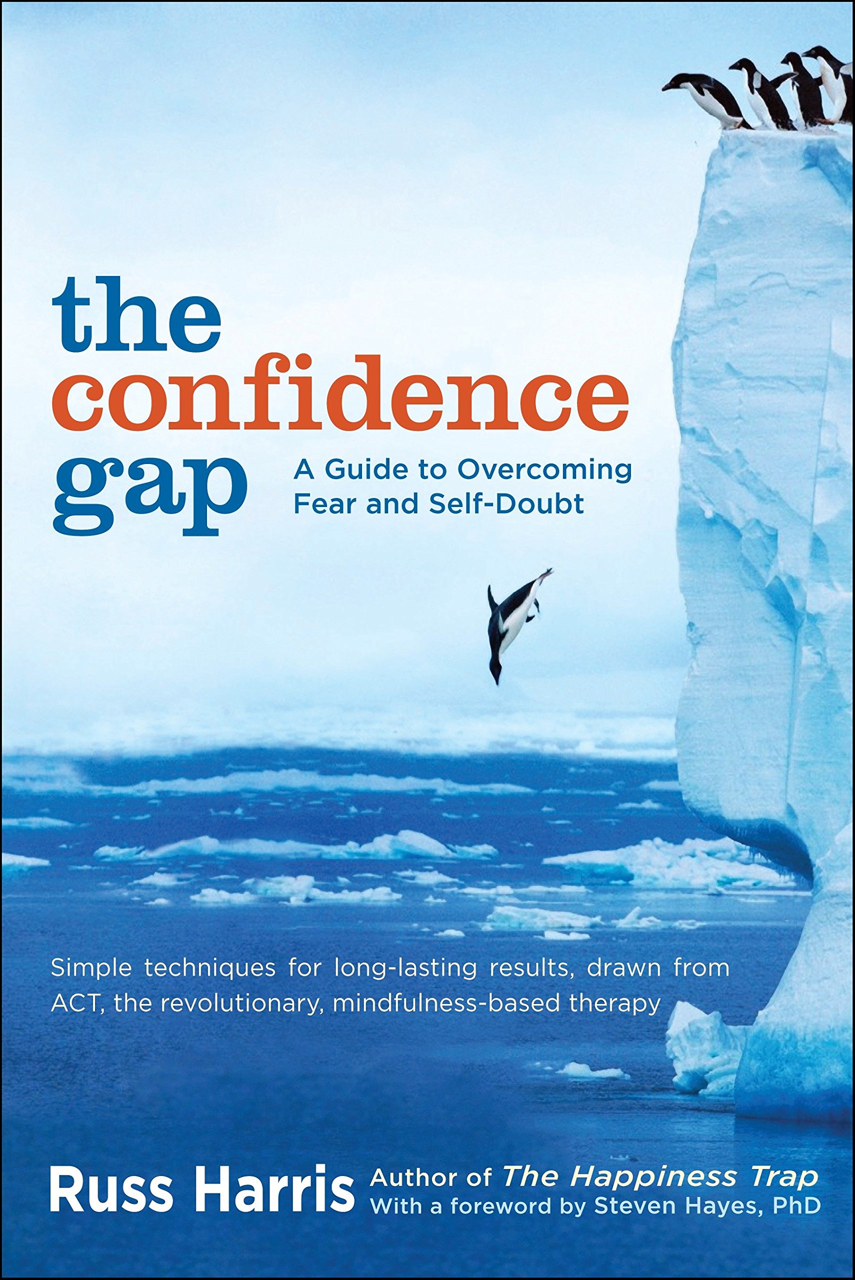 Algopix Similar Product 3 - The Confidence Gap A Guide to