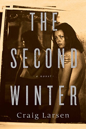 Algopix Similar Product 3 - The Second Winter: A Novel
