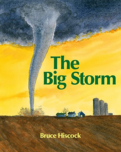 Algopix Similar Product 12 - The Big Storm