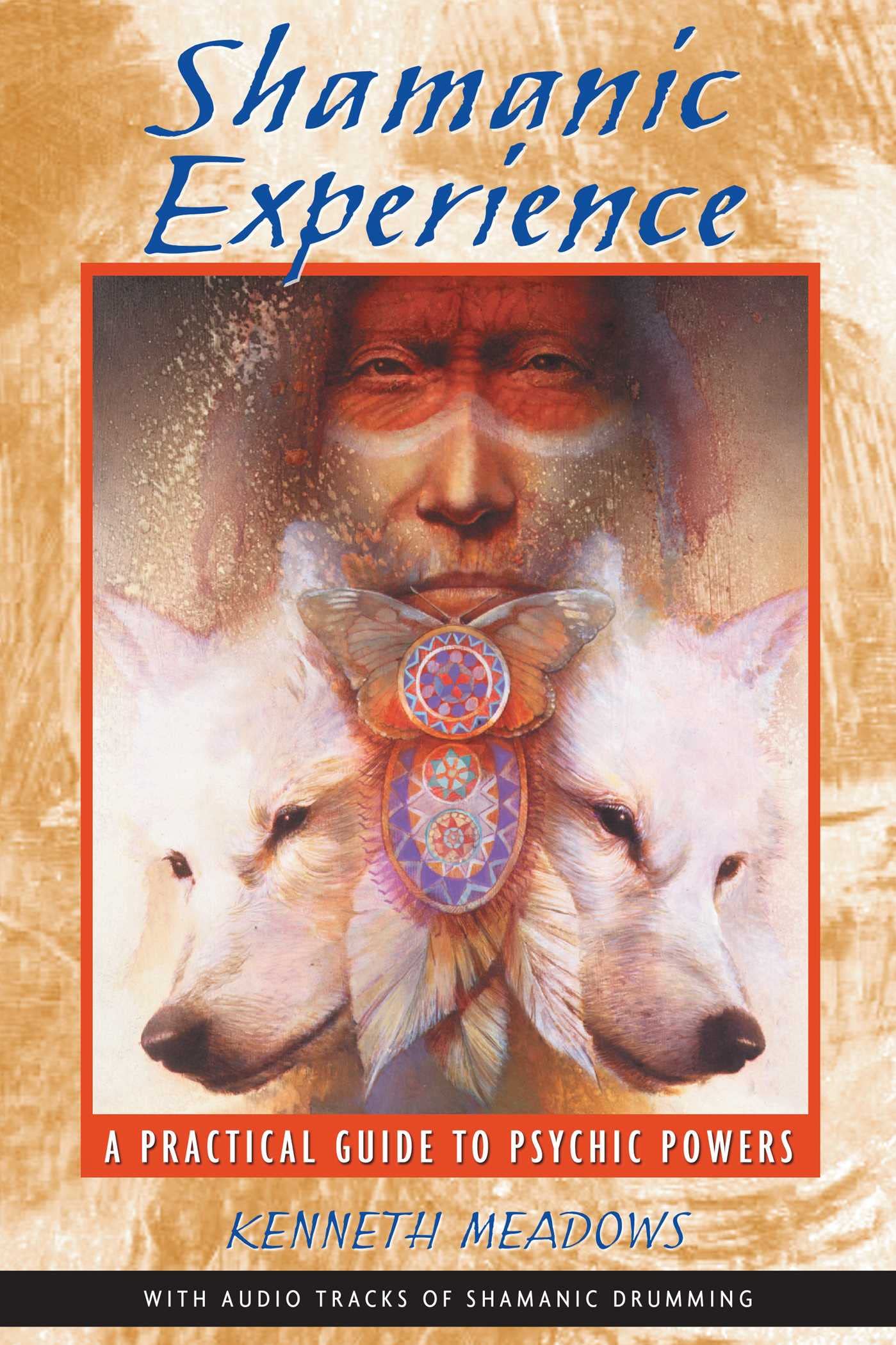 Algopix Similar Product 9 - Shamanic Experience A Practical Guide