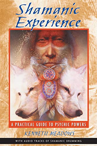 Algopix Similar Product 3 - Shamanic Experience A Practical Guide