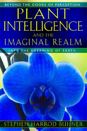 Algopix Similar Product 19 - Plant Intelligence and the Imaginal