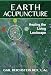 Algopix Similar Product 4 - Earth Acupuncture Healing the Living