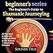 Algopix Similar Product 18 - The Beginners Guide to Shamanic