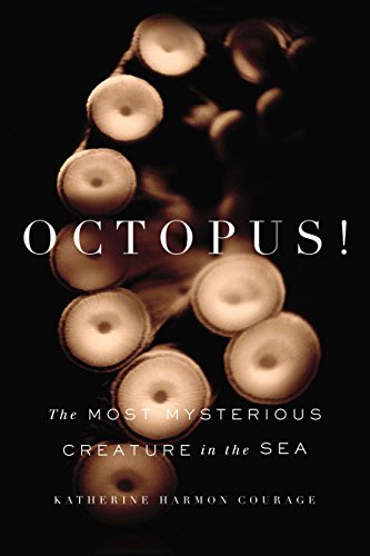 Algopix Similar Product 1 - Octopus The Most Mysterious Creature