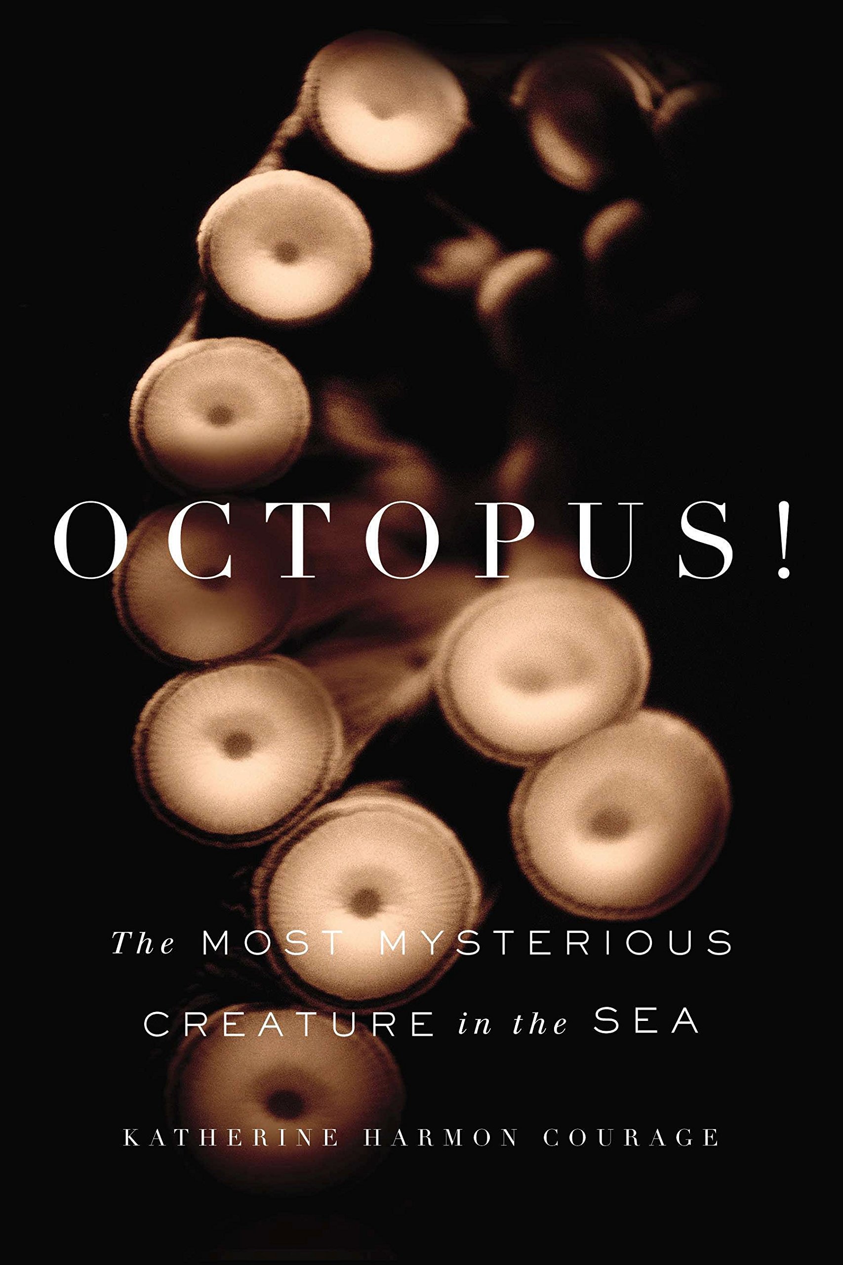 Algopix Similar Product 7 - Octopus The Most Mysterious Creature