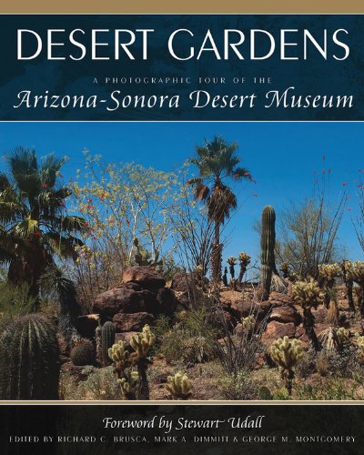 Algopix Similar Product 11 - Desert Gardens A Photographic Tour of