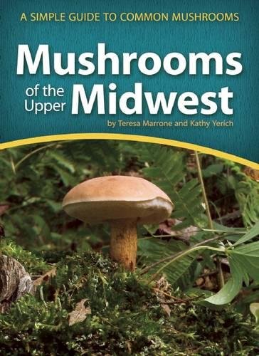 Algopix Similar Product 10 - Mushrooms of the Upper Midwest A
