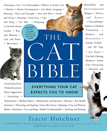 Algopix Similar Product 1 - The Cat Bible Everything Your Cat