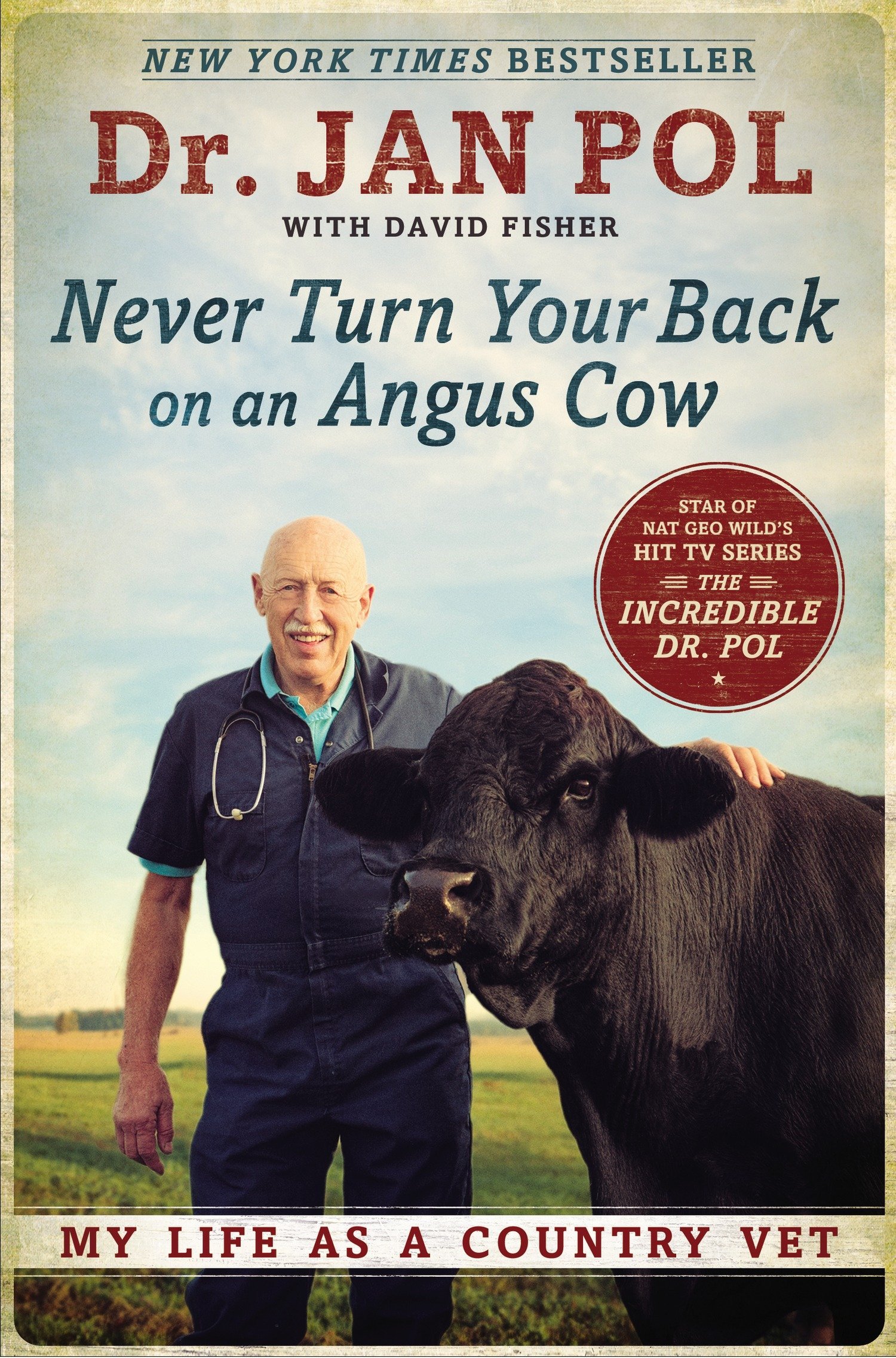 Algopix Similar Product 17 - Never Turn Your Back on an Angus Cow