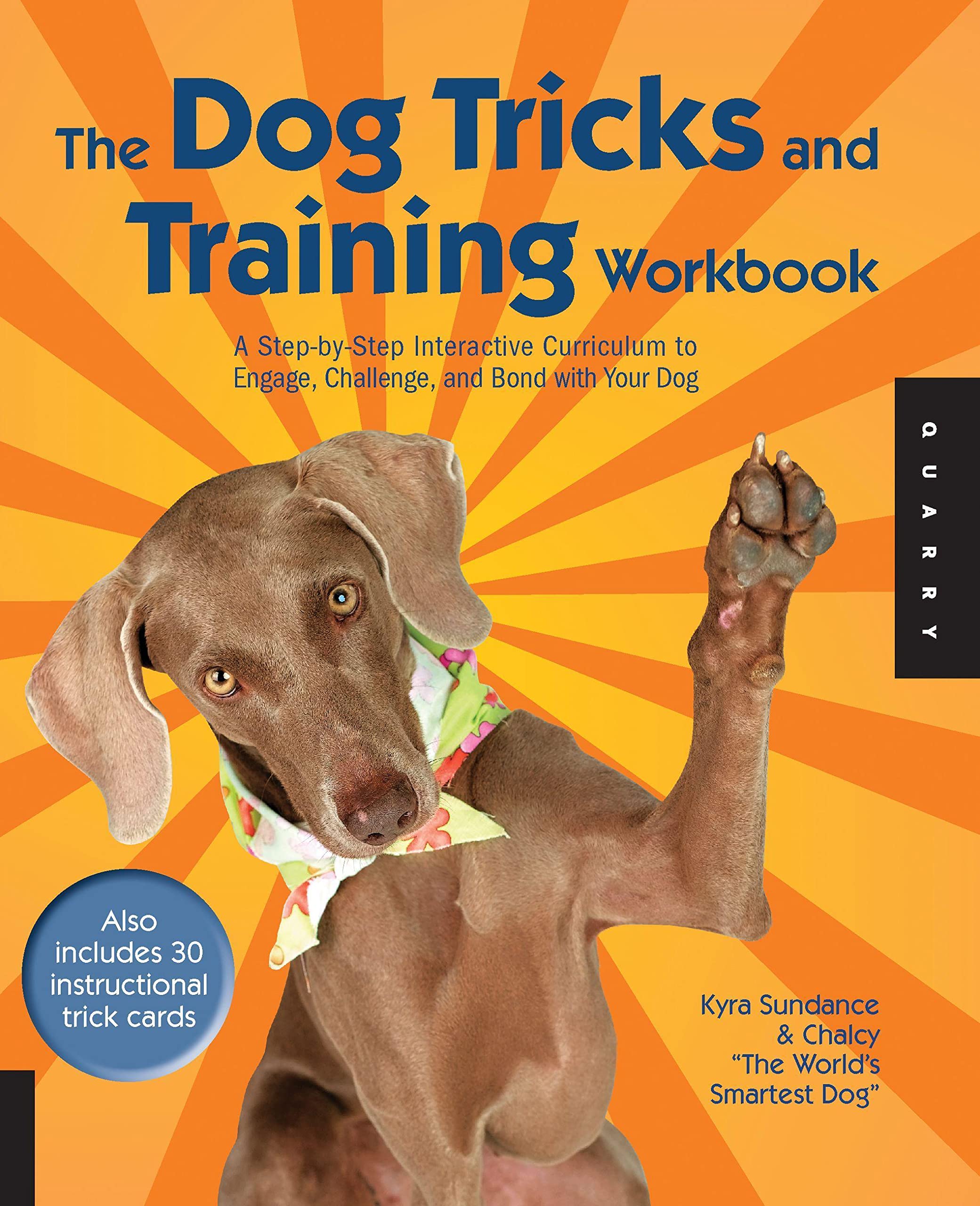 Algopix Similar Product 5 - The Dog Tricks and Training Workbook A