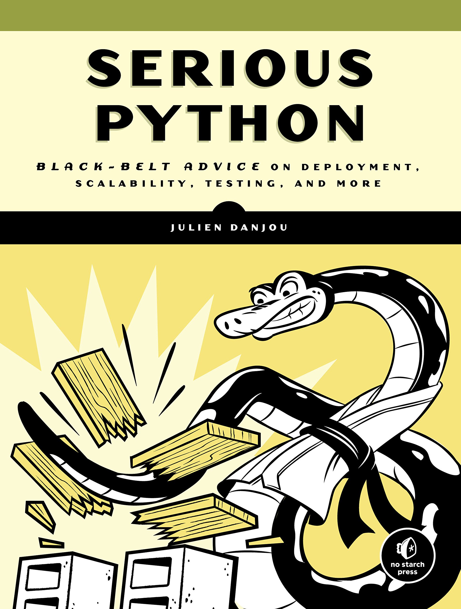 Algopix Similar Product 6 - Serious Python BlackBelt Advice on