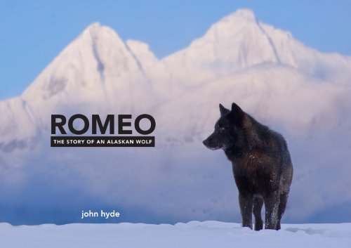 Algopix Similar Product 18 - Romeo: The Story of an Alaskan Wolf