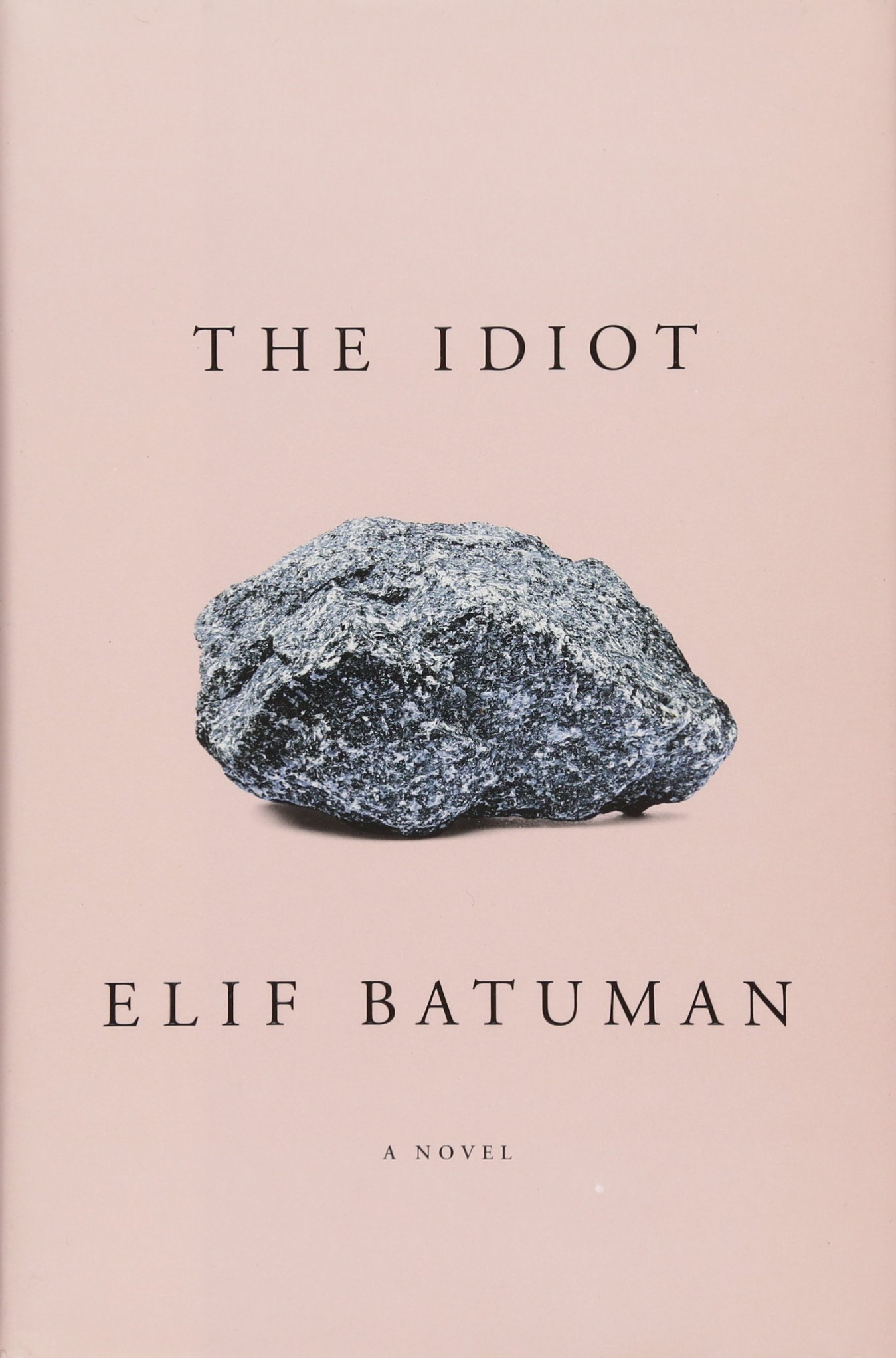 Algopix Similar Product 11 - The Idiot