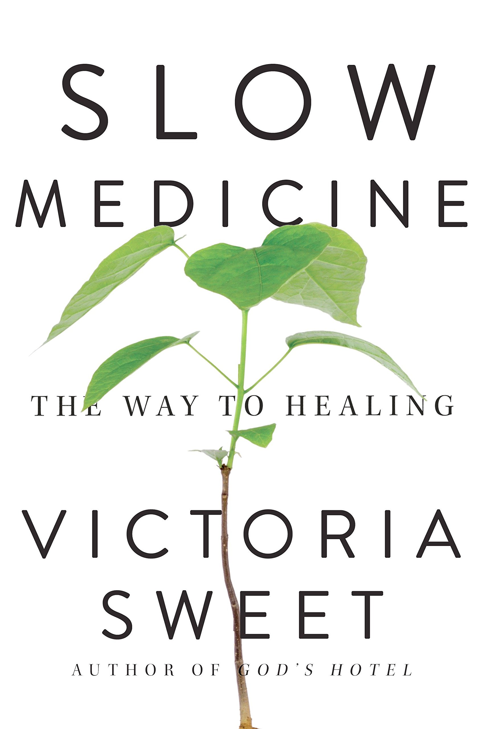 Algopix Similar Product 3 - Slow Medicine: The Way to Healing