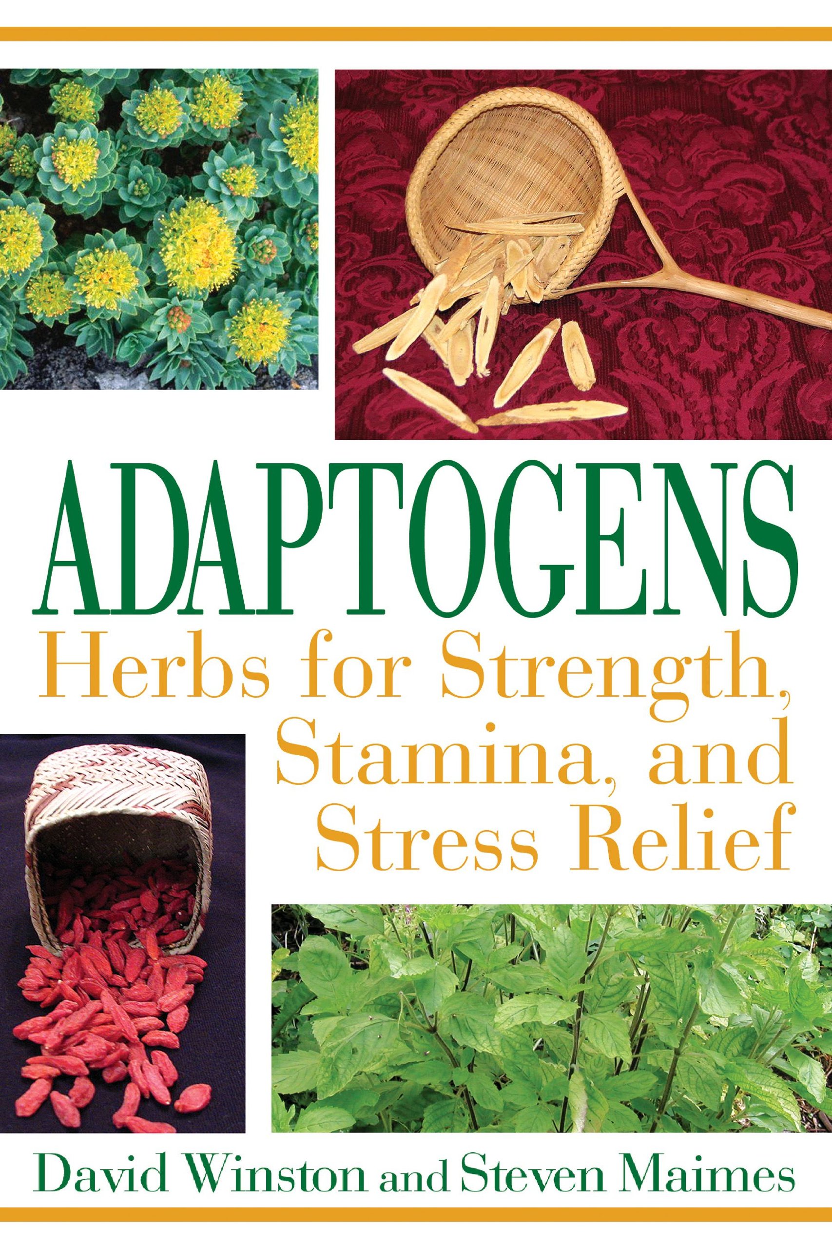 Algopix Similar Product 1 - Adaptogens Herbs for Strength