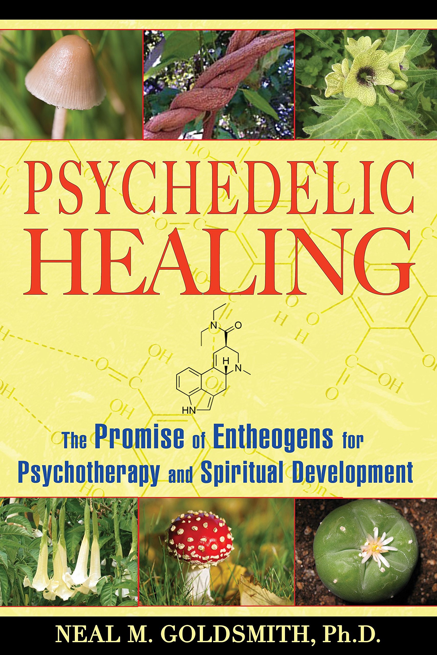 Algopix Similar Product 11 - Psychedelic Healing The Promise of