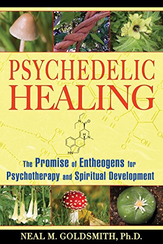 Algopix Similar Product 12 - Psychedelic Healing The Promise of