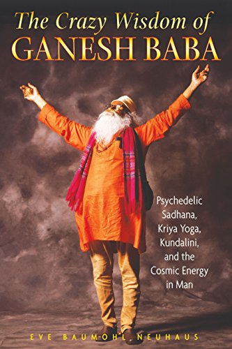 Algopix Similar Product 2 - The Crazy Wisdom of Ganesh Baba