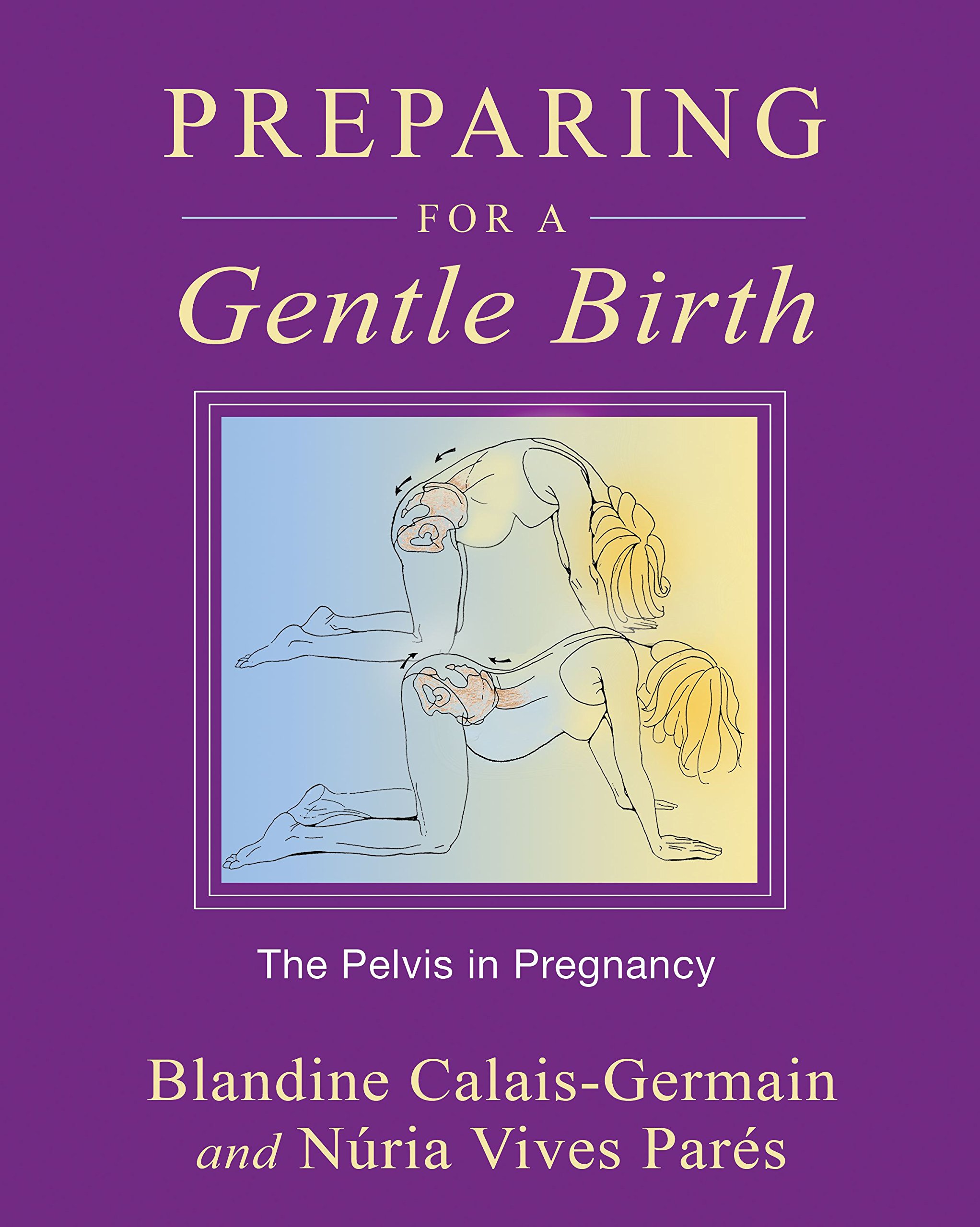 Algopix Similar Product 2 - Preparing for a Gentle Birth The
