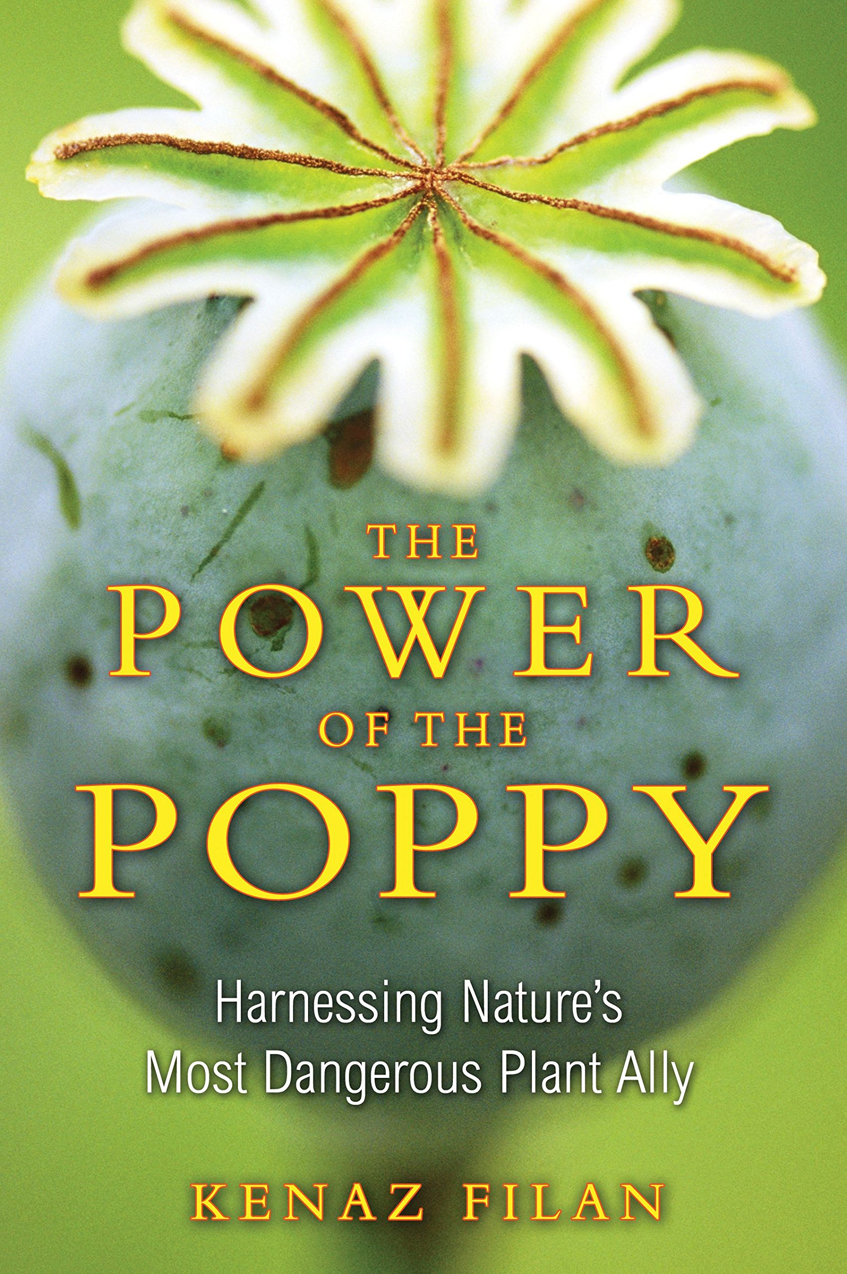 Algopix Similar Product 16 - The Power of the Poppy Harnessing