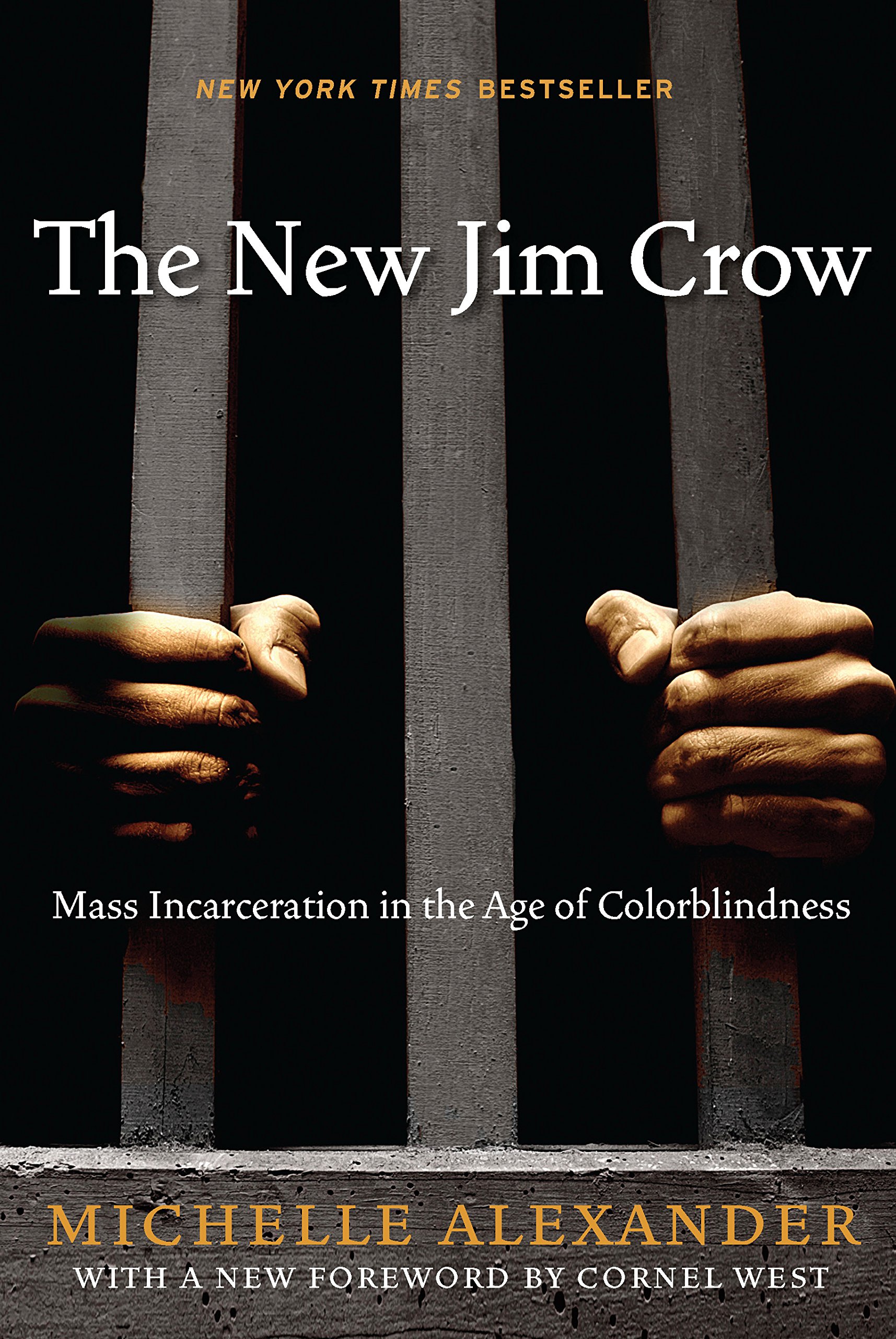 Algopix Similar Product 3 - The New Jim Crow Mass Incarceration in