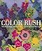 Algopix Similar Product 19 - Color Rush American Color Photography