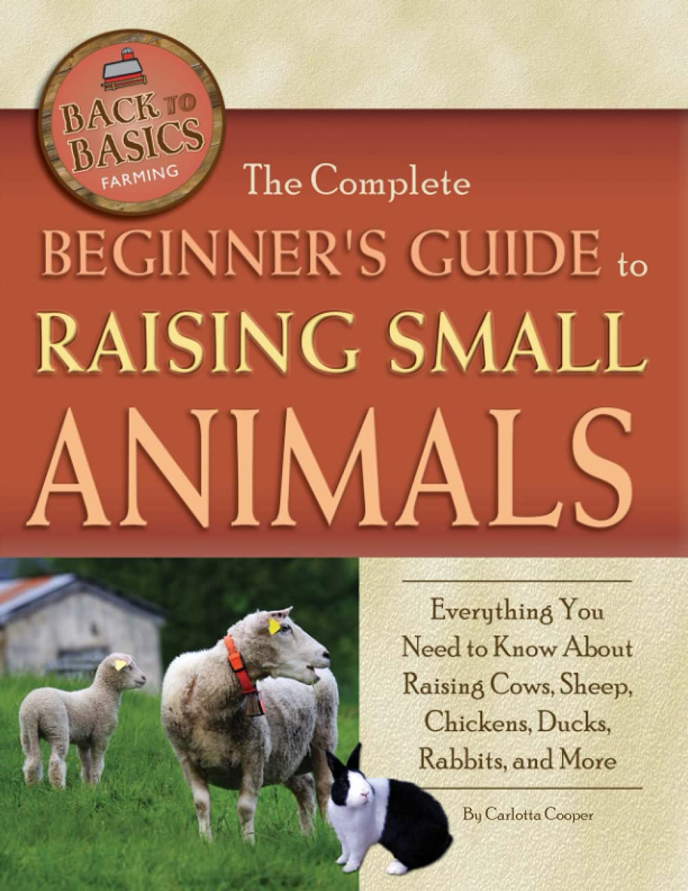 Algopix Similar Product 5 - The Complete Beginners Guide to