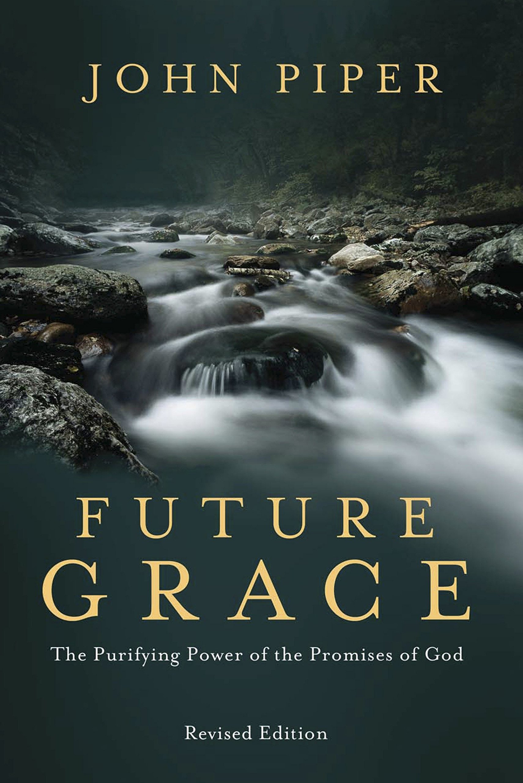 Algopix Similar Product 1 - Future Grace Revised Edition The