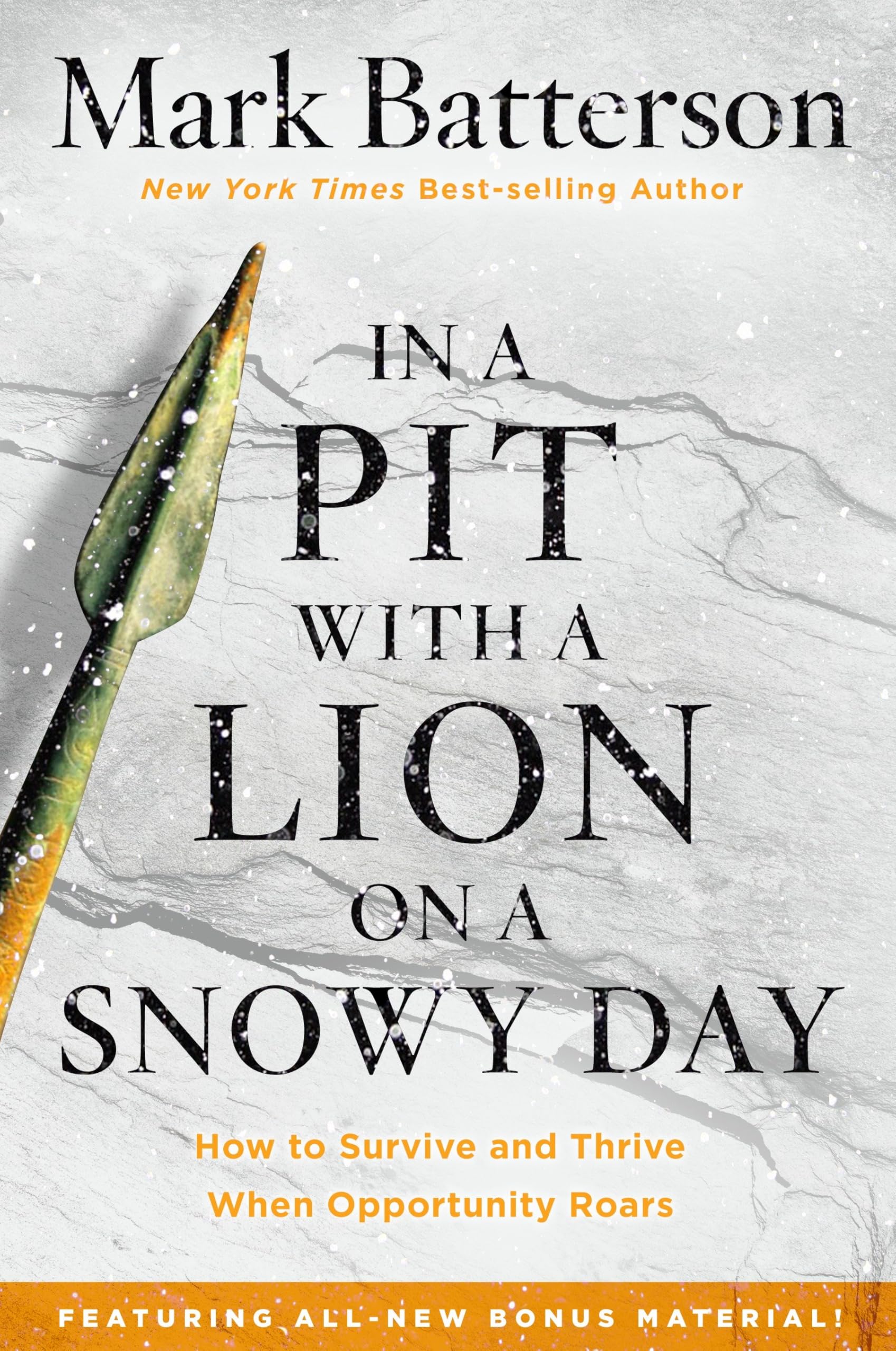 Algopix Similar Product 16 - In a Pit with a Lion on a Snowy Day
