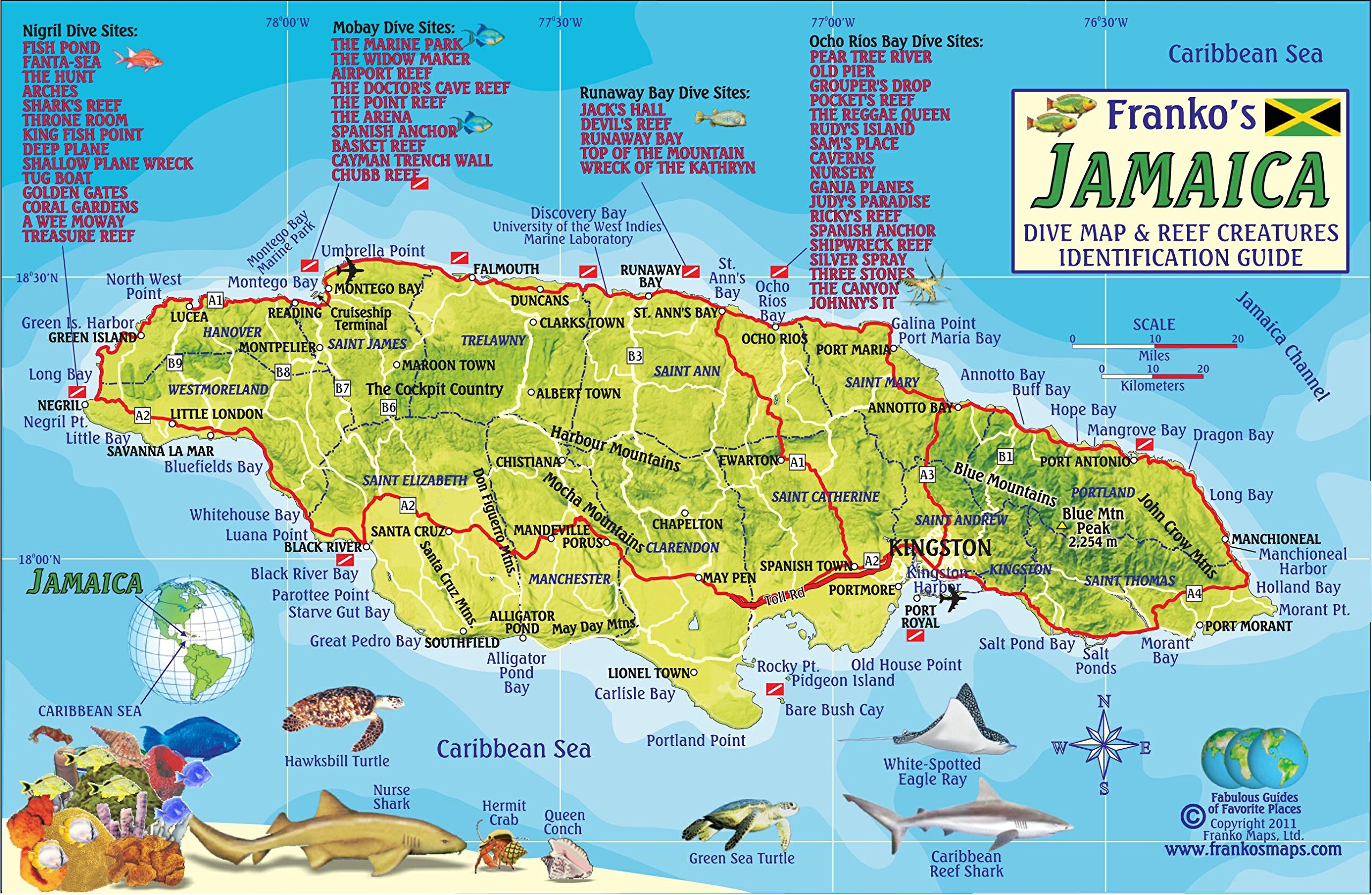 Algopix Similar Product 20 - Jamaica Dive Map  Coral Reef Creatures