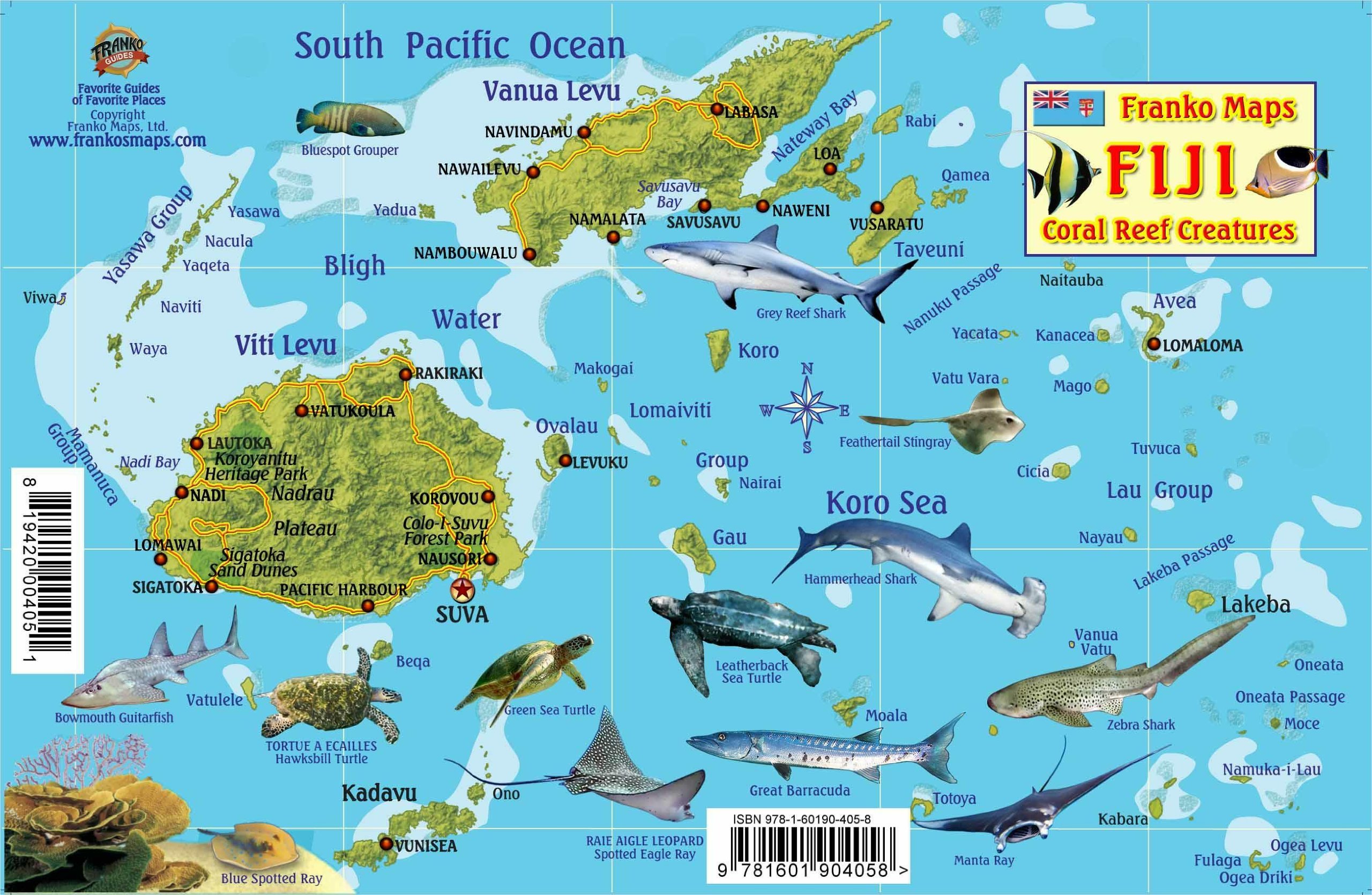 Algopix Similar Product 17 - Fiji Map  Reef Creatures Guide Franko