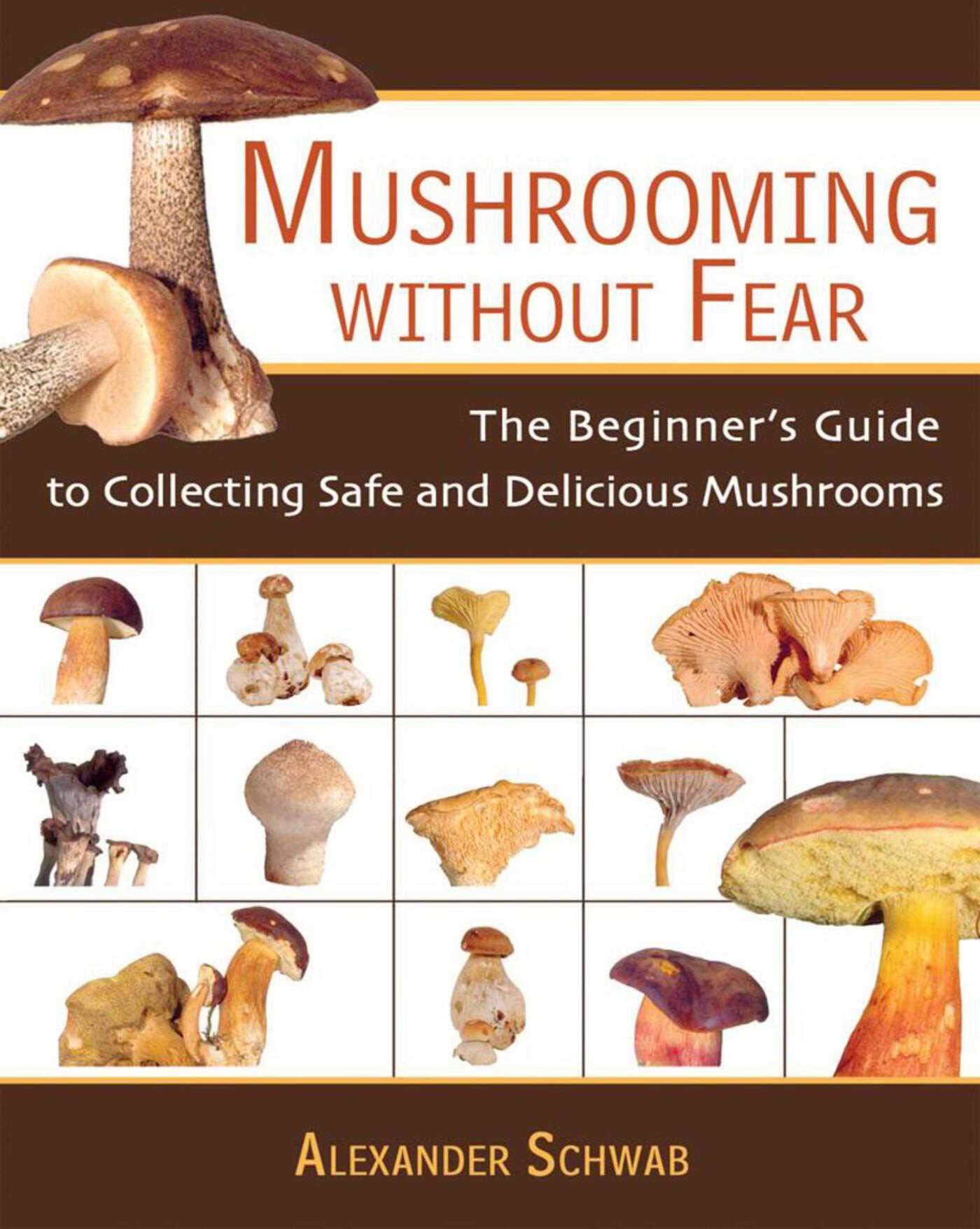 Algopix Similar Product 17 - Mushrooming Without Fear The