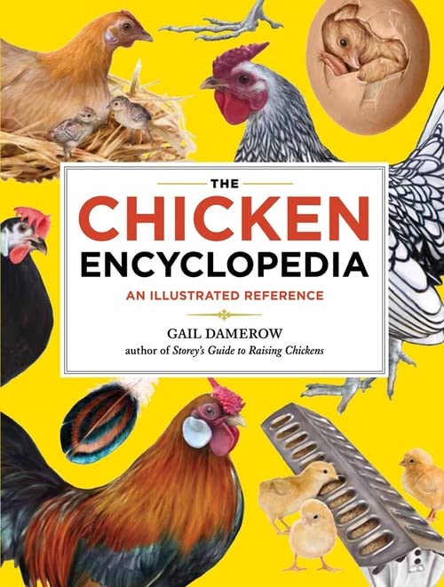 Algopix Similar Product 4 - The Chicken Encyclopedia An