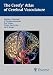 Algopix Similar Product 11 - The Cerefy Atlas of Cerebral
