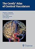 Algopix Similar Product 6 - The Cerefy Atlas of Cerebral