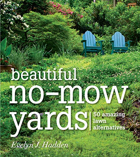 Algopix Similar Product 7 - Beautiful NoMow Yards 50 Amazing Lawn
