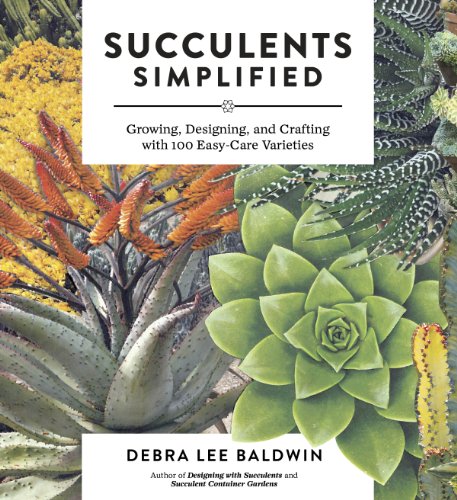 Algopix Similar Product 16 - Succulents Simplified Growing