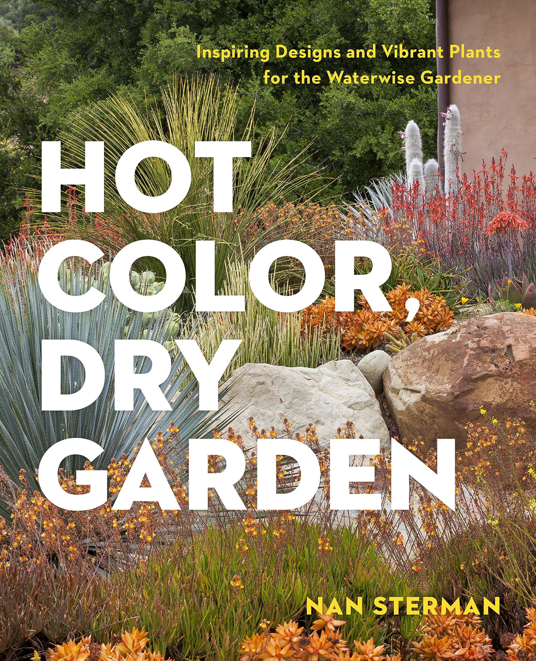 Algopix Similar Product 4 - Hot Color Dry Garden Inspiring