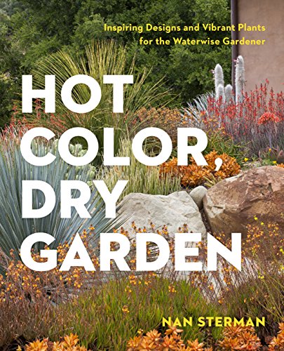 Algopix Similar Product 4 - Hot Color Dry Garden Inspiring