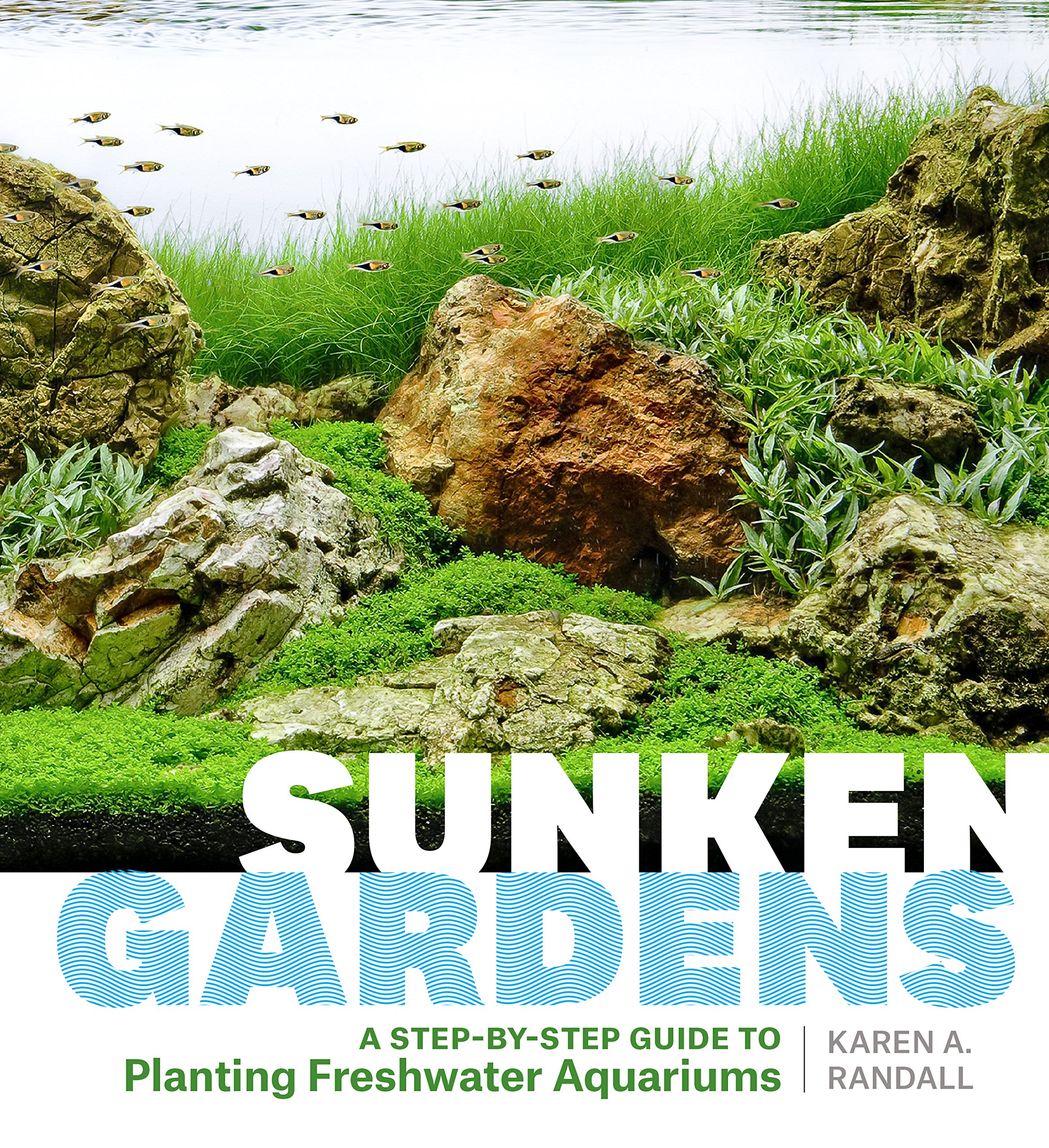 Algopix Similar Product 12 - Sunken Gardens A StepbyStep Guide to