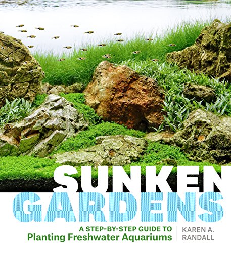 Algopix Similar Product 15 - Sunken Gardens A StepbyStep Guide to
